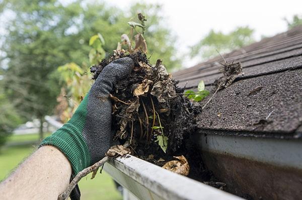 neglecting gutter cleaning can lead to clogged gutters, water damage to the property, and potential pest infestations